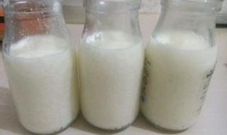 制作酸奶的方法（在家制作酸奶的方法）