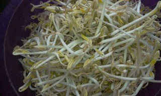 水豆芽怎么做 水豆芽的做法