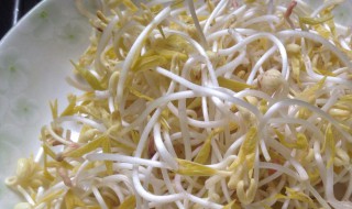 豆芽尖怎么做（豌豆芽尖怎么做好吃）