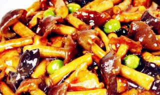 圆菇素炒的方法 素炒圆菇的家常做法窍门