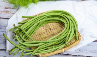豆子的腌制方法 豆子的腌制方法视频