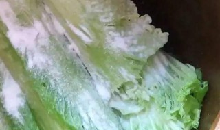 腌咸菜的小方法（如何腌制小咸菜窍门）