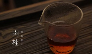 肉桂的正确泡水方法 肉桂的正确泡水方法视频
