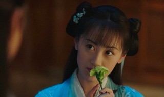 琉璃美人煞璇玑最后有心了吗 琉璃美人煞璇玑最后有心了吗视频
