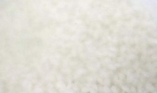 简单煮粥的方法（简单煮粥的方法窍门）
