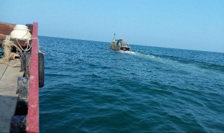 海洋捕鱼的方法 海洋捕鱼的方法和技巧