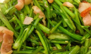 芹菜头怎么做（芹菜头怎么做菜）