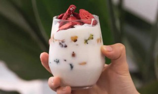 米酸奶的制作方法 米酸奶怎么做