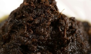 橄榄菜的储存方法（橄榄菜的储存方法和保存）
