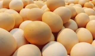 冲生鸡蛋的方法 冲生鸡蛋可以去火吗