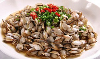 海瓜子的食用方法 海瓜子的食用方法与禁忌