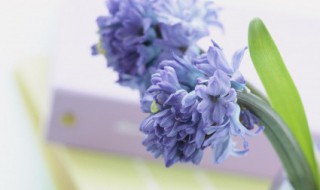 干净温柔签名短句（温柔的签名句子短句）