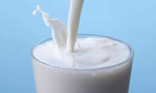 纯牛奶自制酸奶 纯牛奶自制酸奶用什么引子