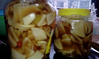 酸辣萝卜的腌制方法（酸辣萝卜的腌制方法酸脆）