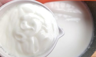 酸奶是怎么做的 奶香铺子的酸奶是怎么做的
