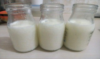 怎样做酸奶不用酸奶机（怎样做酸奶不用酸奶机做）