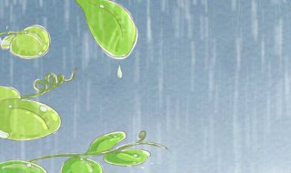 下雨防雨怎么解决 下雨天怎么防雨