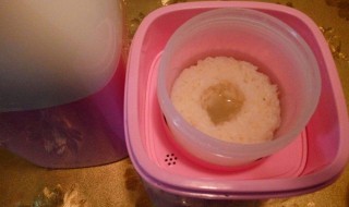 如何用酸奶机做米酒 如何用酸奶机做米酒视频