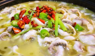 黑鱼酸菜鱼的做法窍门（黑酸菜鱼的做法大全窍门）