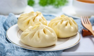 酸菜素包子馅做法大全 酸菜素包子馅做法大全窍门