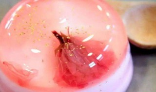 酸奶果冻怎么做 酸奶果冻怎么做视频