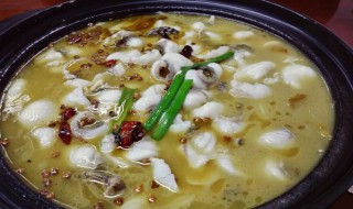 酸菜鱼用什么鱼做最好 酸菜鱼用什么鱼做最好吃无骨