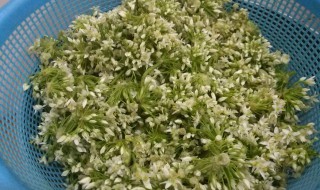 如何用韭花做韭花酱 如何用韭花做韭花酱窍门