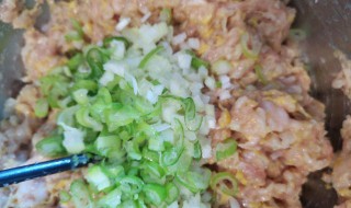 酸菜饺子的馅的做法 酸菜饺子的馅的做法视频
