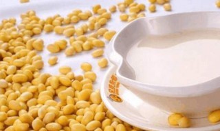 豆类是酸性还是碱性食物（豆类是碱性食物吗）