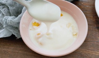 自己做酸奶什么时候放糖 自己做酸奶什么时候放糖比较好
