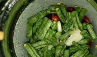 酸豇豆怎么泡（酸豇豆怎么泡法）