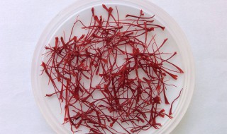 喝藏红花要忌口什么（喝藏红花要忌口什么食物）