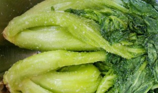 腌酸菜的做法大全 陕北腌酸菜的做法大全