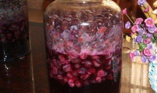 家庭葡萄酒的制作方法（家庭葡萄酒的制作方法糖的比例）