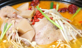怀孕可以吃酸萝卜老鸭汤吗（怀孕期间可以吃酸萝卜老鸭汤吗）