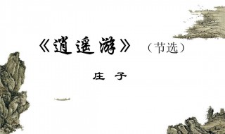 越俎代庖的解释（代俎越庖 释义）