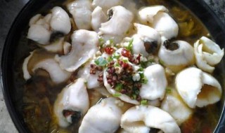 酸菜鱼片的做法窍门（酸菜鱼片的做法窍门是什么）