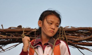 孝女彩金的电影故事（电影是孝女彩金）