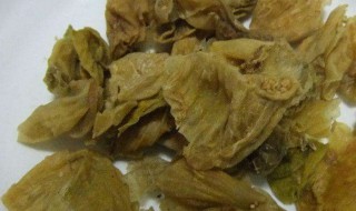 鸡内金片的功效与作用 猴头菇鸡内金片的功效与作用