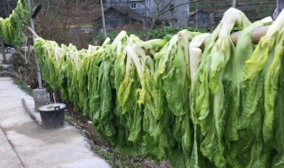 大量蔬菜要怎么保存（大量蔬菜要怎么保存好）