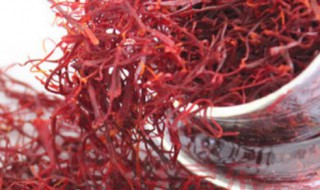 藏红花禁忌人群（藏红花泡水喝竟有6个害处）