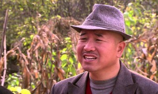 乡村爱情5演员表 乡村爱情5演员表全部 名单