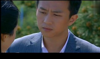 艰难爱情演员表 电视剧艰难爱情演员表