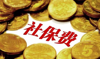 社保可以退吗 社保可以退钱吗 已经交了4年了