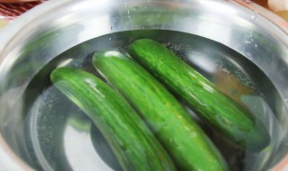 冰箱怎么保存青瓜（冰箱怎么保存青瓜不会坏）