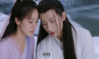 司凤的真实身份 司凤的真实身份什么时候出现
