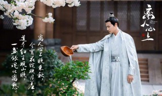 离人心上关山先生是谁（关山的爱人）