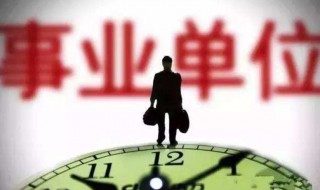 工作单位怎么填（工作单位怎么填个体户）