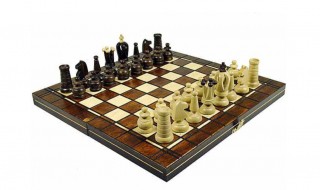 国际象棋怎么玩新手入门（国际象棋怎么玩新手入门视频）
