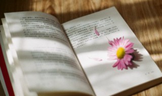 生活的说说 生活感悟经典句子